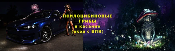 бошки Надым