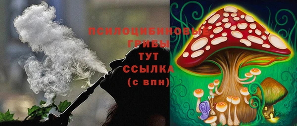 МДПВ Навашино