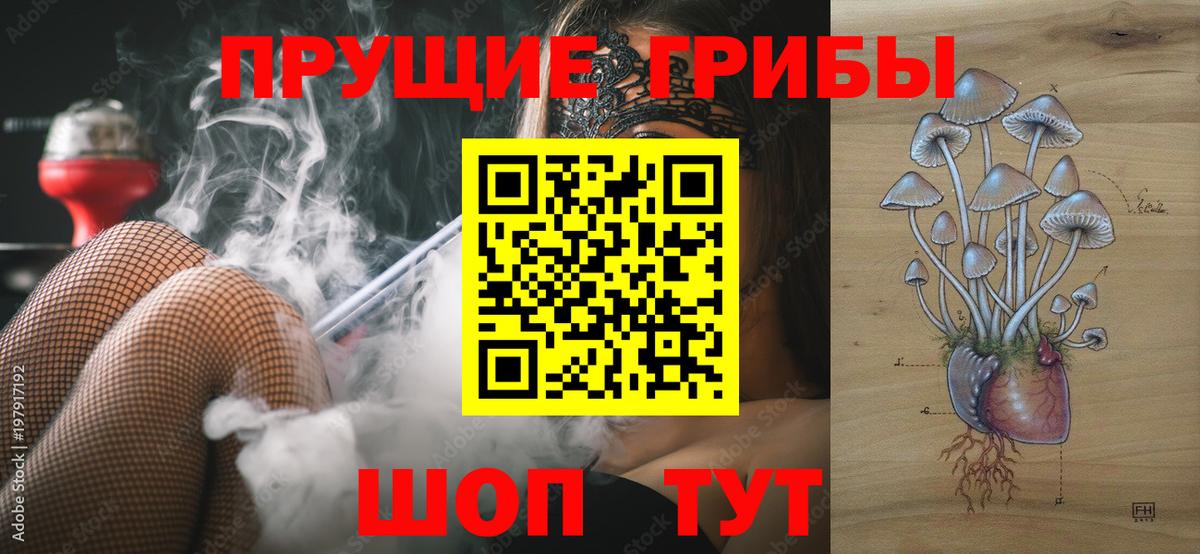 Галлюциногенные грибы Cubensis Печора