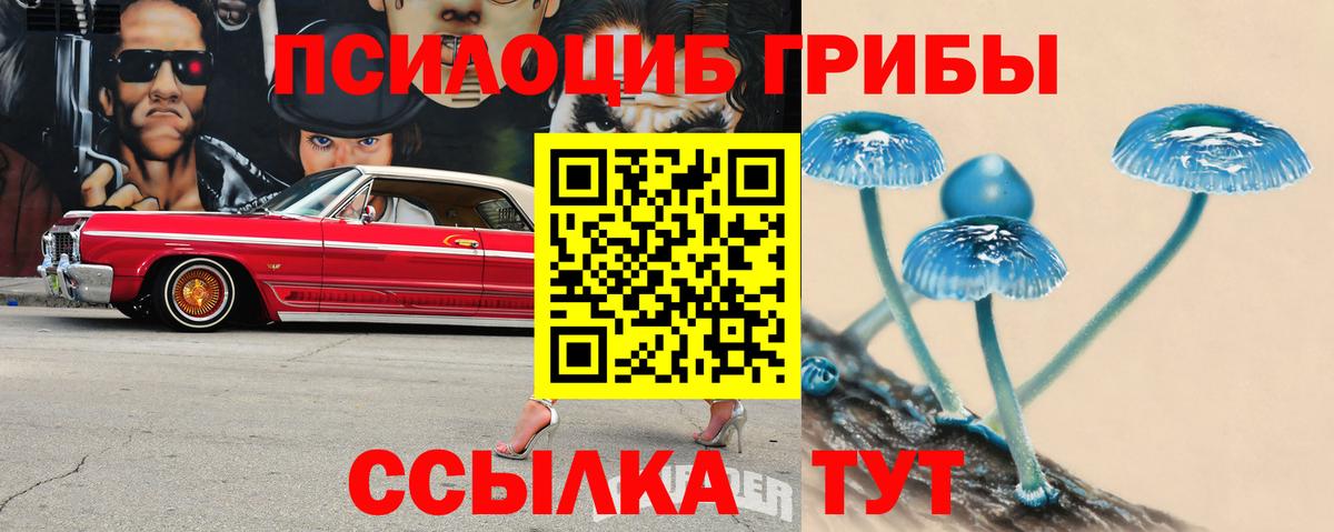 Псилоцибиновые грибы мицелий  Галлюциногенные грибы GOLDEN TEACHER  Печора  Вход с VPN 